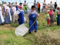 55. Praznik žetve na Polenšaku - nedelja