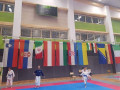 Mednarodni karate turnir Ljubljana open 2018