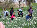 Pohod med narcisami v Negovi