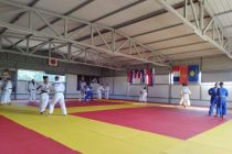 Prleški judoisti na pripravah