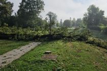 Razdejanje po neurju v Ljutomeru