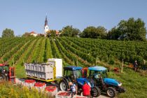 Trgatev Puklavec Family Wines