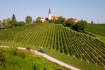 Trgatev Puklavec Family Wines