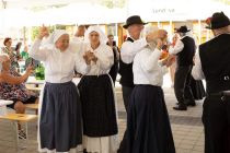 Devet let stolpa Vinarium Lendava