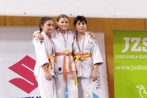 Judo Prlekija open 2024