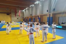 Judo Prlekija open 2024