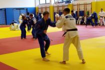 Judo priprave v Kranjski Gori