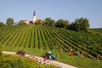 Trgatev Puklavec Family Wines