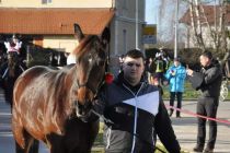 Blagoslov konjev v Križevcih pri Ljutomeru