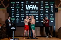 Priprave na Valhalla Fight Night 11