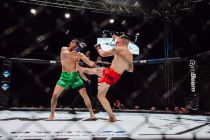 Valhalla Fight Night 11