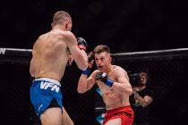 Valhalla Fight Night 11