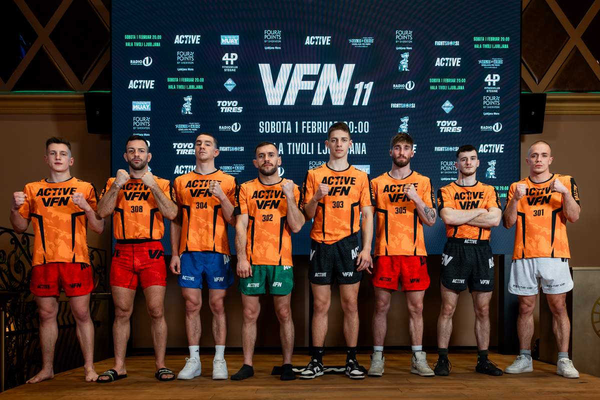 Priprave na Valhalla Fight Night 11