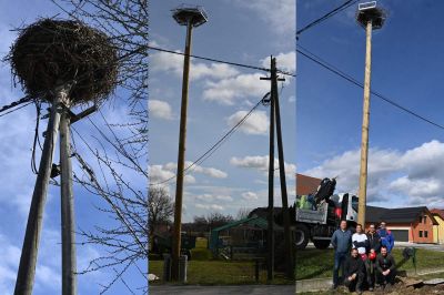 ZRSVN pomaga z novimi podstavki za štorkljina gnezda, foto: Veronika Hohnec