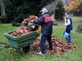 Druženje ob listju