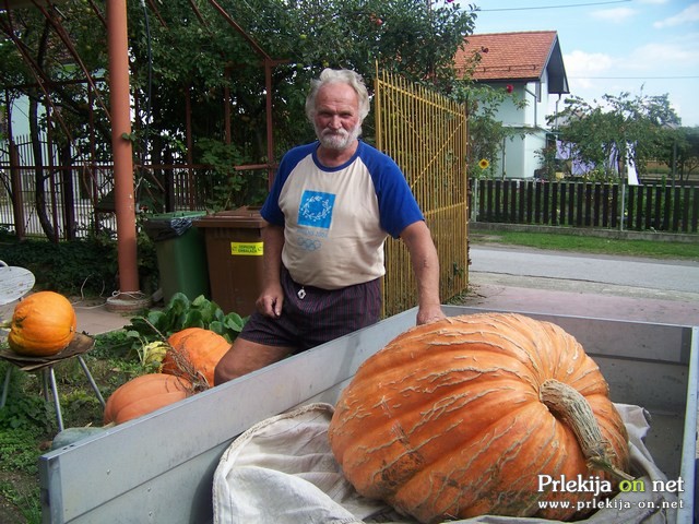 Marjan Topolnik ob buči velikanki