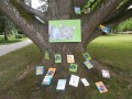 Mačja knjigarna kar pod drevesom