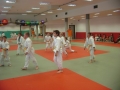 Zaključno kolo prleške judo lige